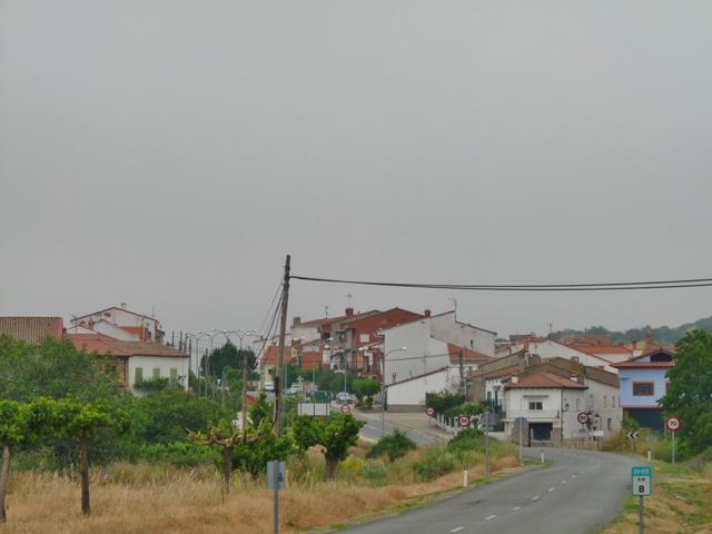 HIGUERA DE LAS DUEÑAS