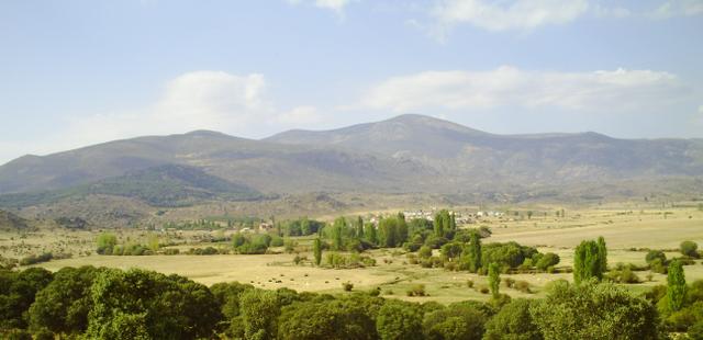 NARROS DEL PUERTO